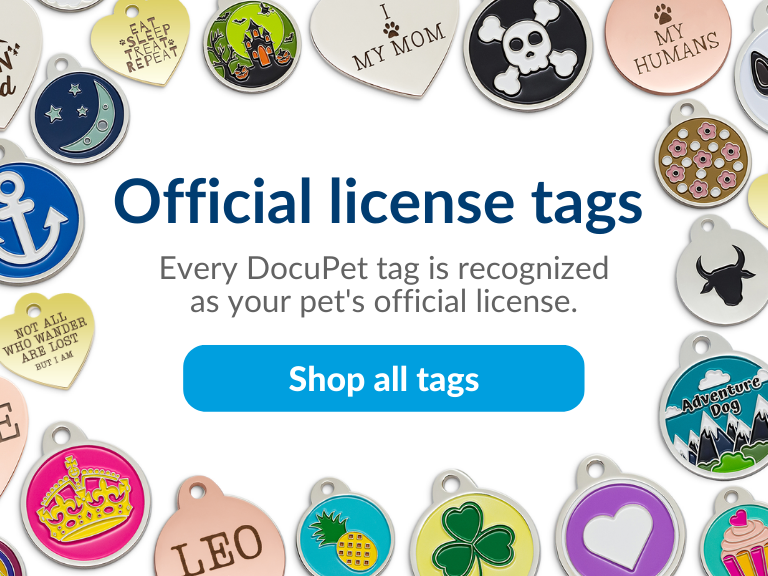 Designer dog hotsell id tags