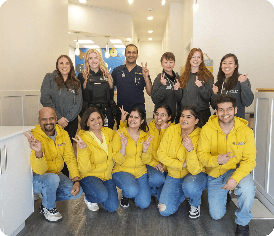 A group photo of veterinarian staff and volunteers.